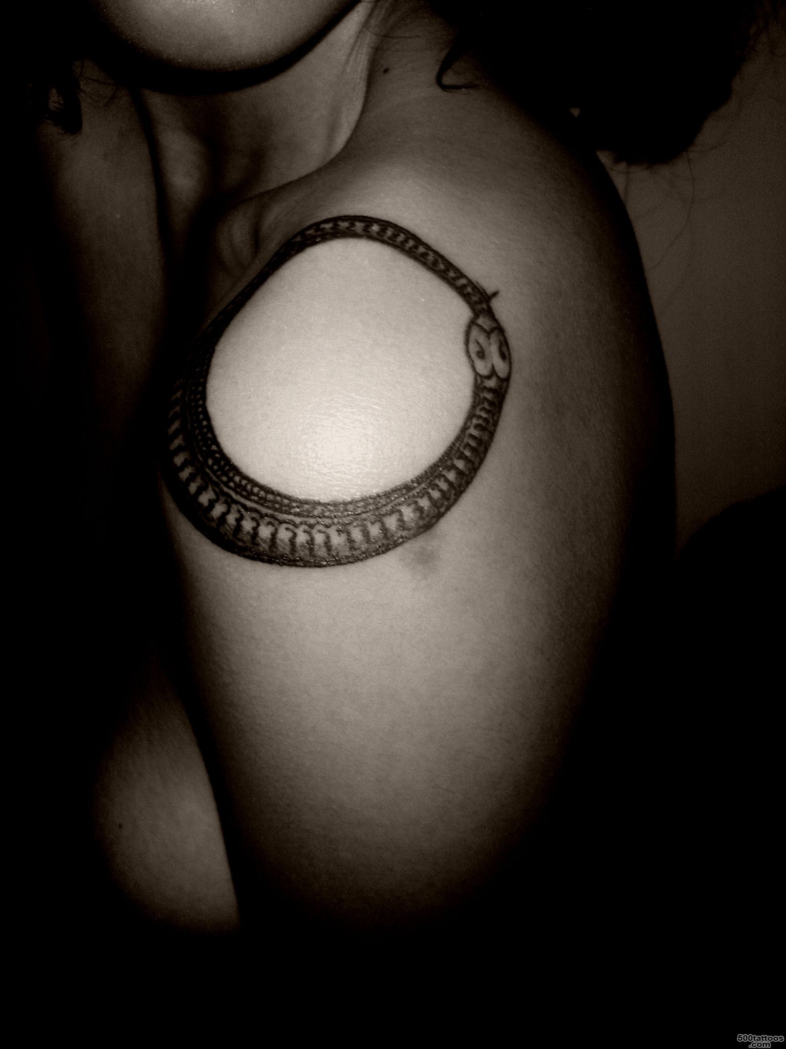Pin Ouroboros Snake And Eagle Tattoo Design Tattoowoocom Picture ..._37