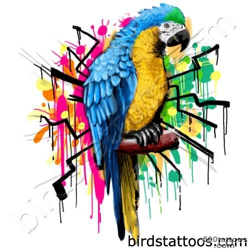 25+ Cute Parrot Tattoo Designs_30