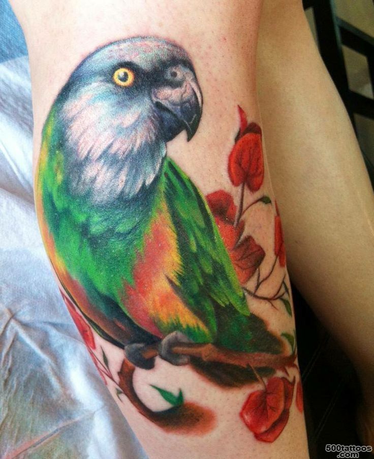 1000+ ideas about Parrot Tattoo on Pinterest  Tattoos, Animal ..._1