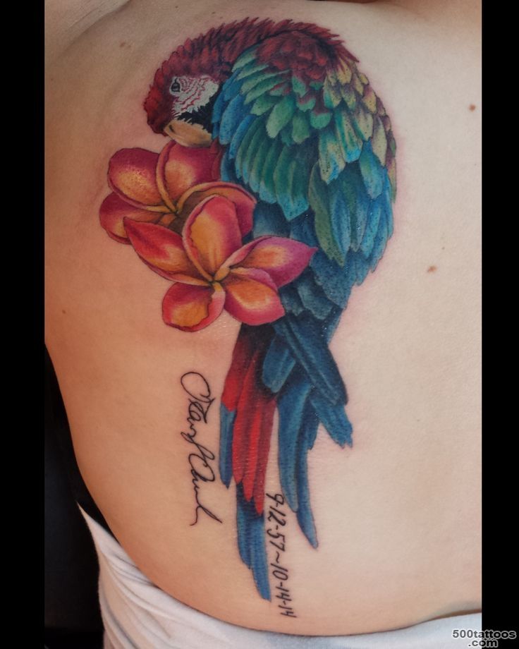 1000+ ideas about Parrot Tattoo on Pinterest  Tattoos, Animal ..._5