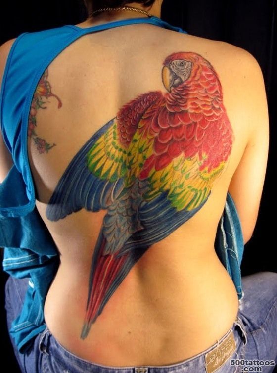 Awesome Colorful Parrot Tattoo On Full Back_31