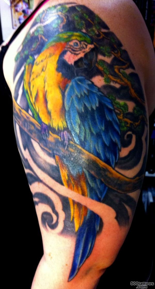 Beautiful Parrot Bird Tattoo On Shoulder  Tattoobite.com_41