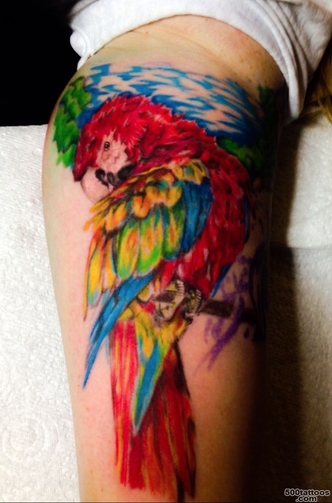 Parrot Bird Tattoo  Colour Parrot  Parrot tattoo#39s  Pinterest ..._8