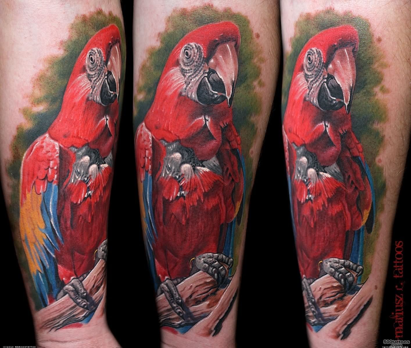 Parrot Tattoo Images amp Designs_24