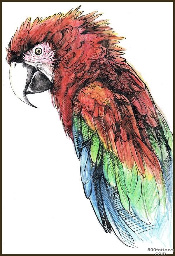 Parrot Tattoo Images amp Designs_28