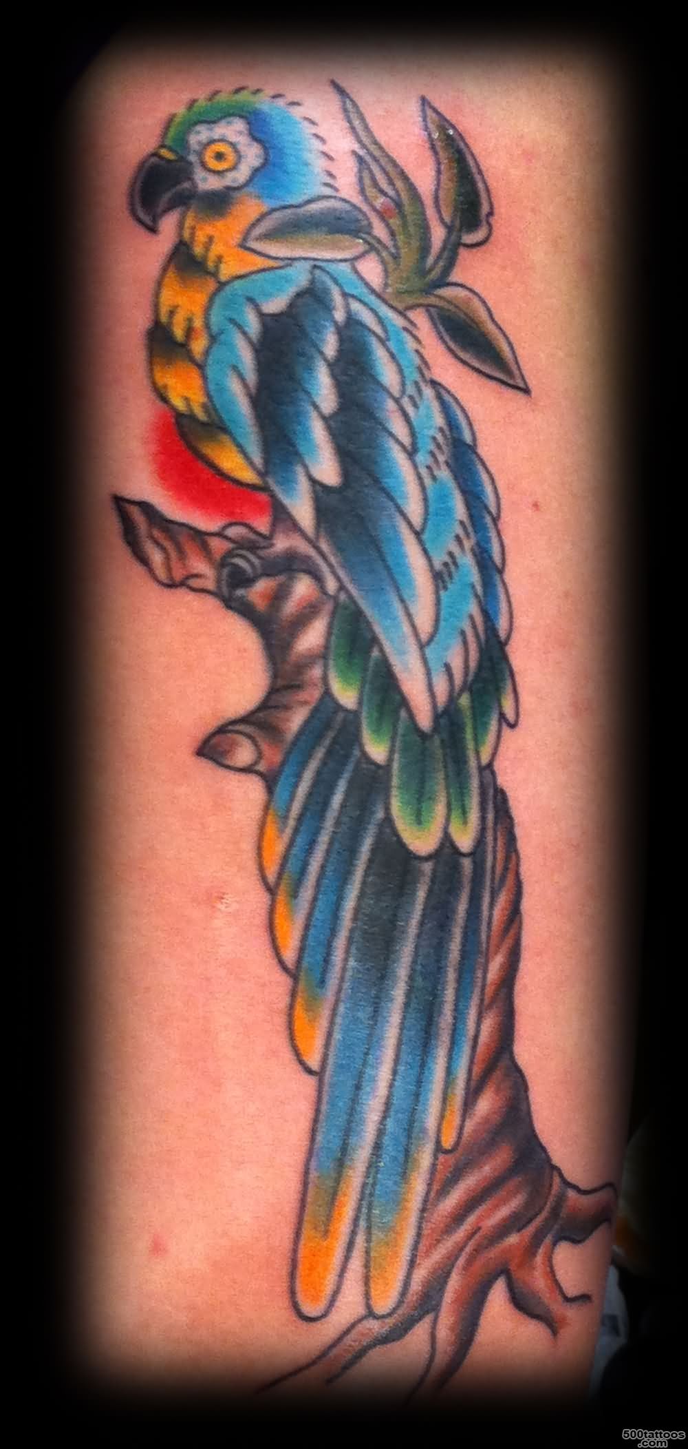 Parrot Tattoo Images amp Designs_42