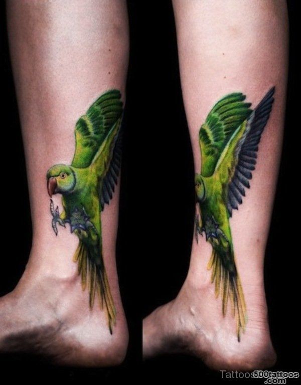 Parrot Tattoos  Tattoo Designs, Tattoo Pictures_18