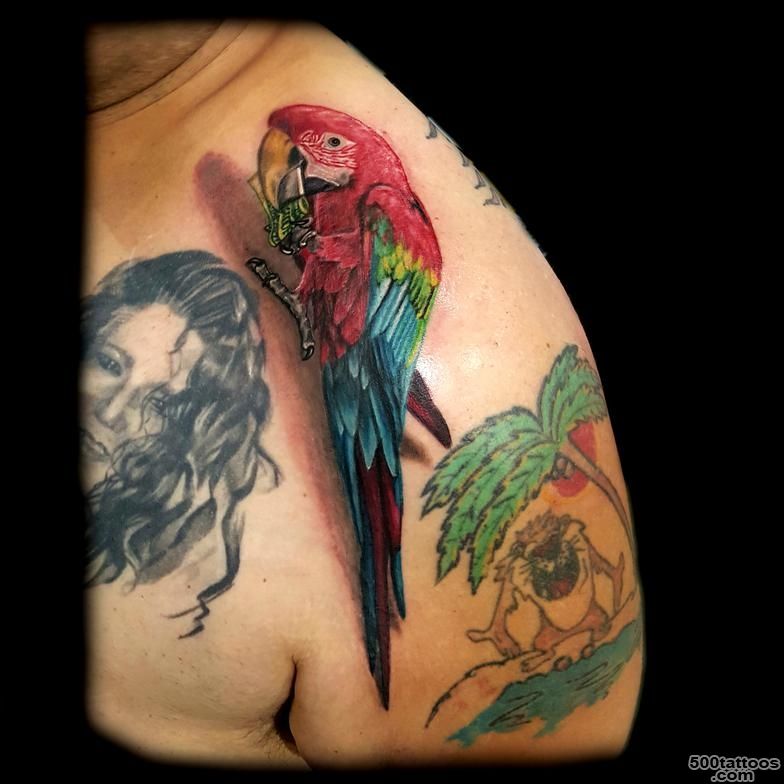 Pin 3d Colorful Parrot Tattoo Design For Front Shoulder on Pinterest_6