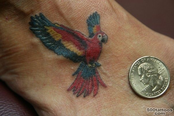 Pin Flying Parrot Tattoo On Right Shoulder on Pinterest_23
