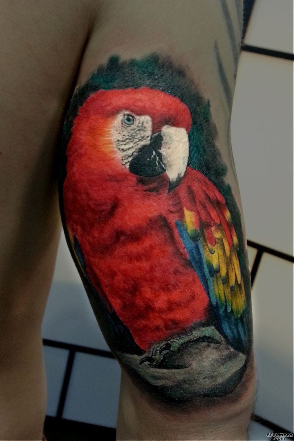 Pin Traditional Parrot Tattoo Cool Eyecatching Tatoos on Pinterest_39