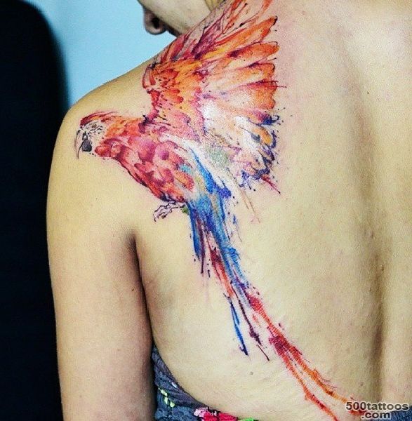 Shoulder colorful Parrot tattoo  Best Tattoo Ideas Gallery_19