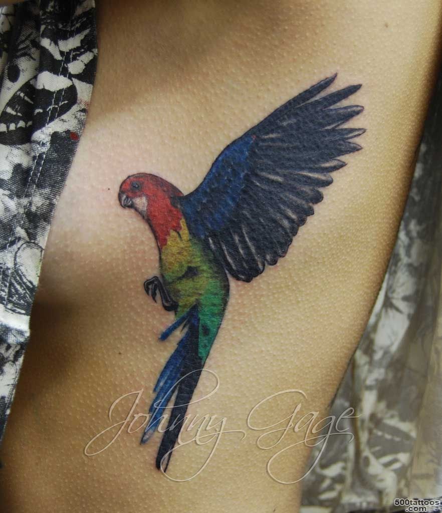 Simple Colorful Flying Parrot Tattoo Design By Johnny Gage_36