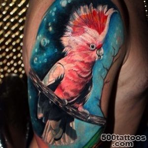 90+ Cool Parrot Tattoos_3