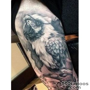Amazing parrot tattoo  Tattoo  Pinterest  Parrot Tattoo _22