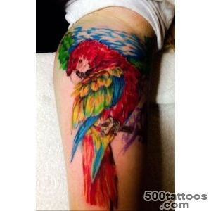 Parrot Bird Tattoo  Colour Parrot  Parrot tattoo#39s  Pinterest _8