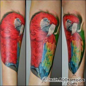 Parrot Tattoo Realistic portrait   YouTube_44