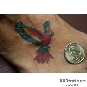 Pin Flying Parrot Tattoo On Right Shoulder on Pinterest_23