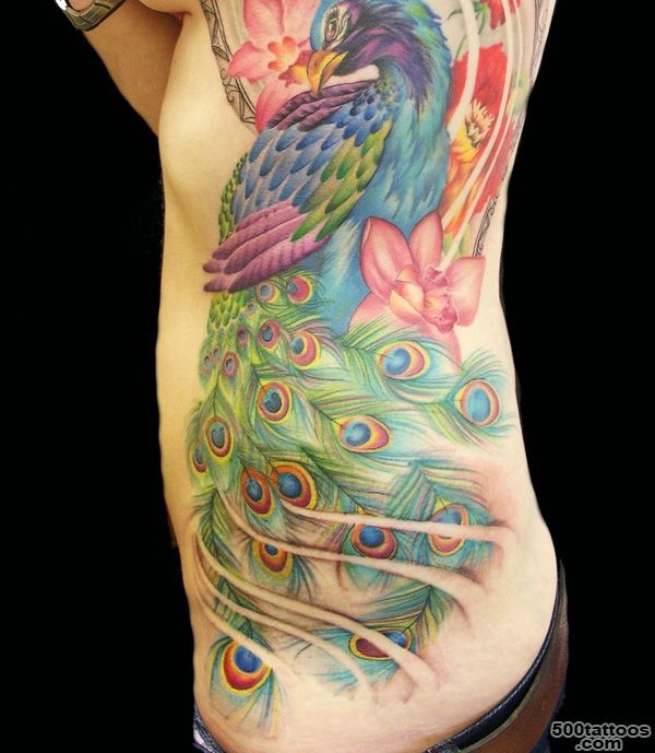 55+ Peacock Tattoo Designs  Art and Design_7