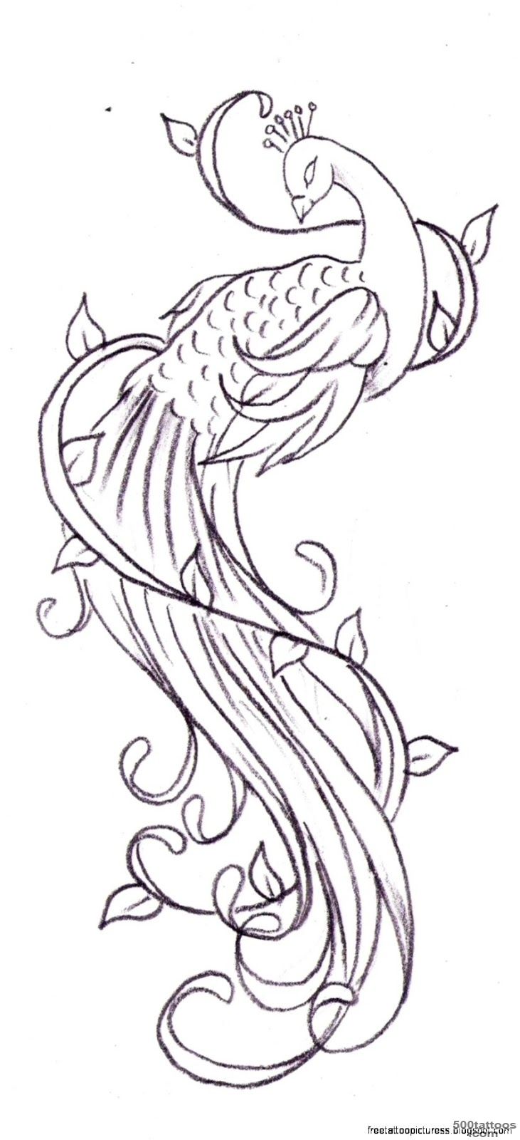 All Tattoo Design Peacock Tatoo_39