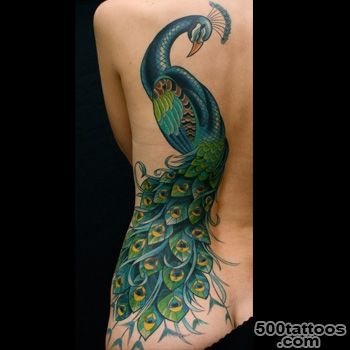 Peacock Tattoo Meanings  iTattooDesigns.com_2