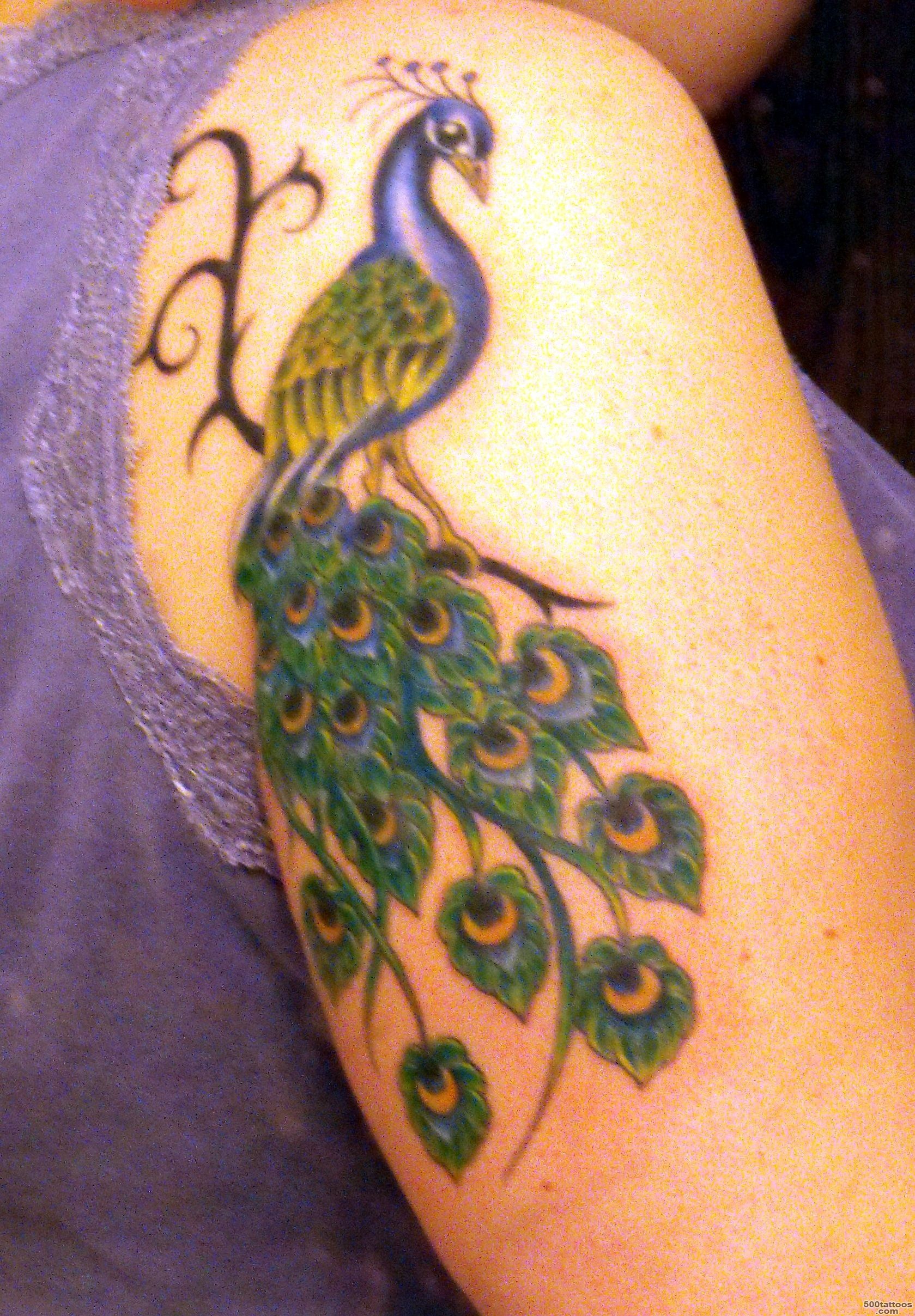 Peacock Tattoos_41