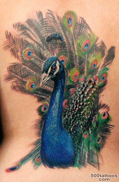 Stunning Peacock Tattoos for Women  Tattoo Ideas Gallery ..._4