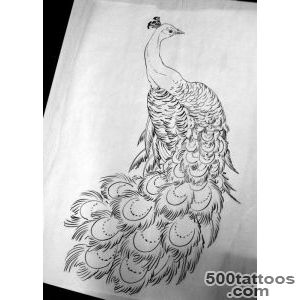 Peacock tattoo design, idea, image