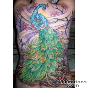 Inspiration and Ideas for Peacock Tattoos « Tattoo Pictures _48