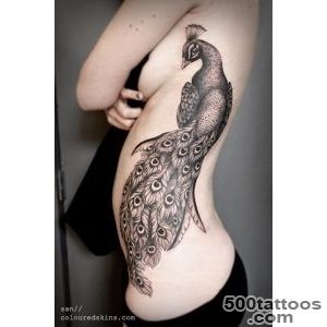 Peacock Tattoo 2_33