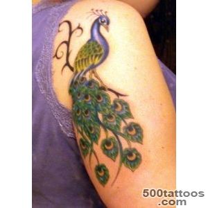 Peacock Tattoos_41