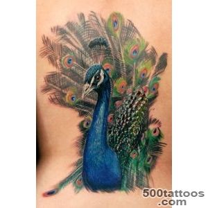 Stunning Peacock Tattoos for Women  Tattoo Ideas Gallery _4