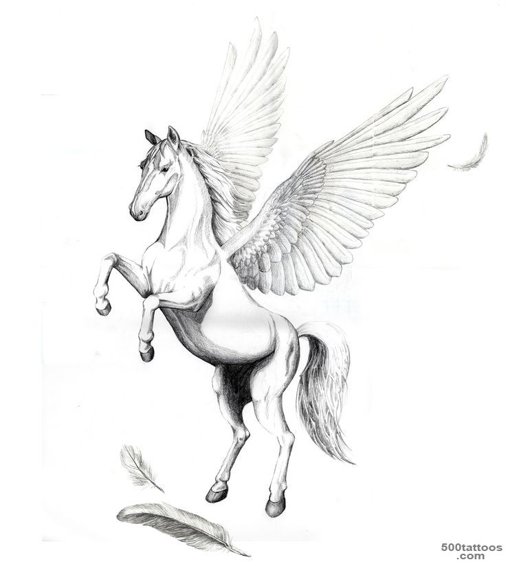 40+ Famous Pegasus Tattoo Designs_2