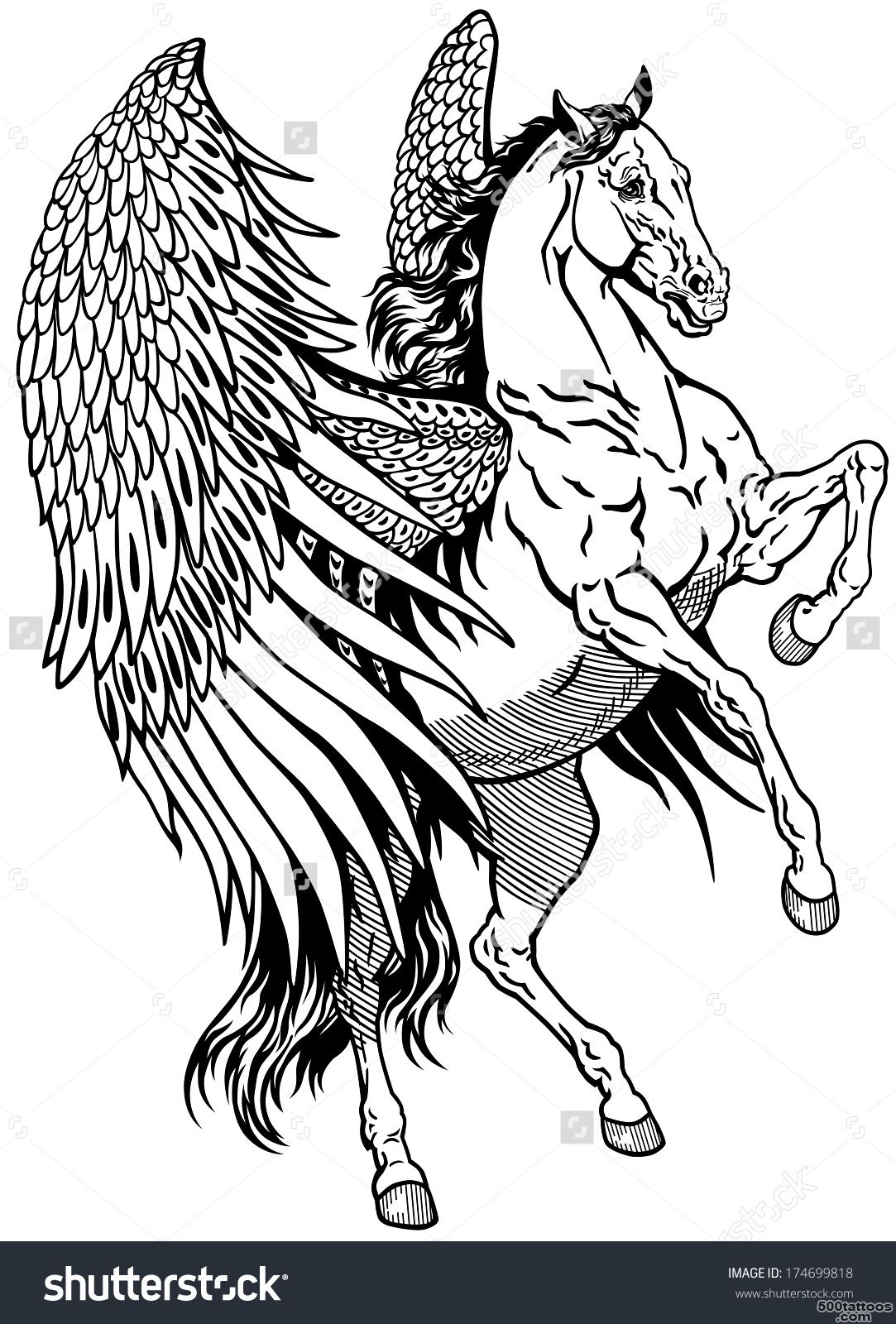 White Pegasus, Mythological Winged Horse, Black And White Tattoo ..._27