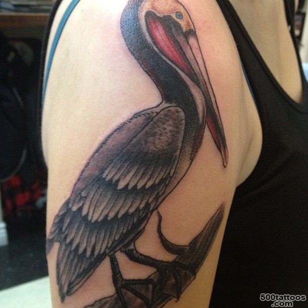 Pelicans on Pinterest  Pelican Tattoo, Tattoos With Meaning and ..._31