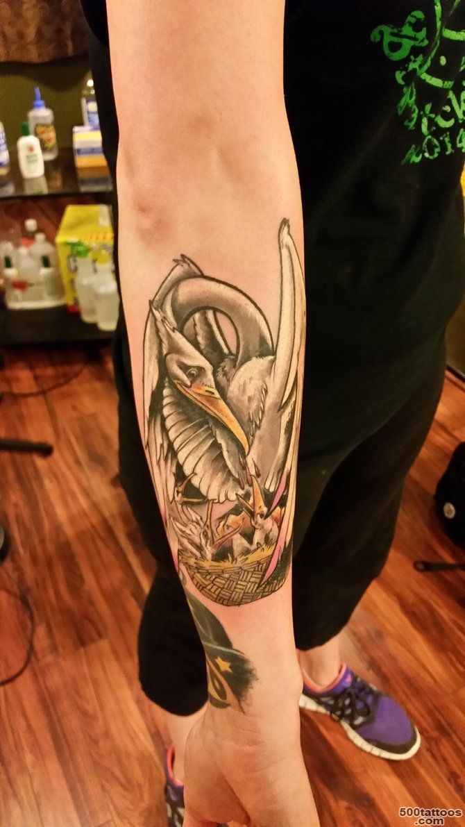pelican tattoo by Matt Henegar on DeviantArt_6