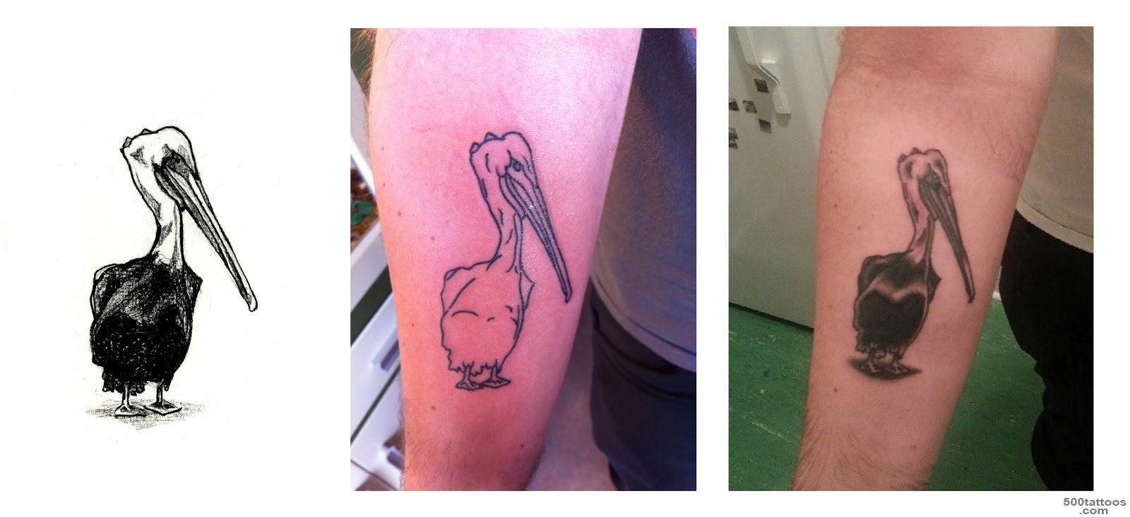 Pin Cooper Got His First Tattoo Of The Pelican I Drew For Him In ..._50