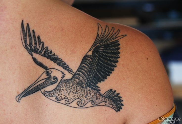 Pin Pin Pelican Tattoo Free Tattoos Designs Images On Pinterest on ..._11