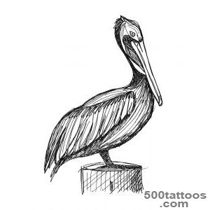 pelican tattoo on Pinterest  Pelican Tattoo, Tattoo Artists and _20