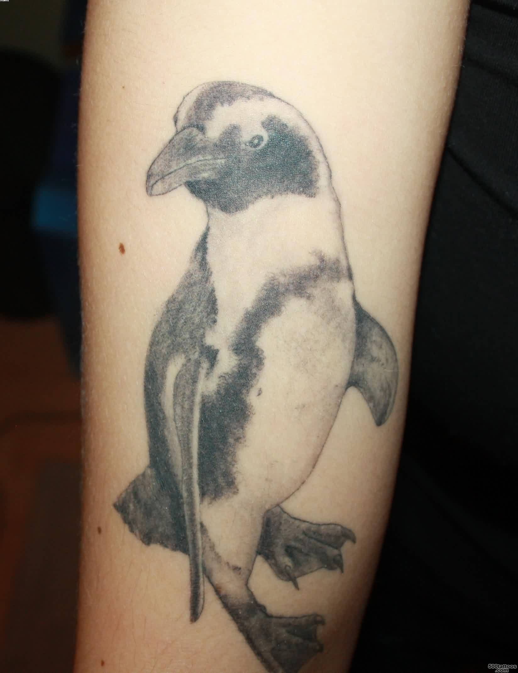 Geometric Penguin Tattoo   Tattoes Idea 2015  2016_50