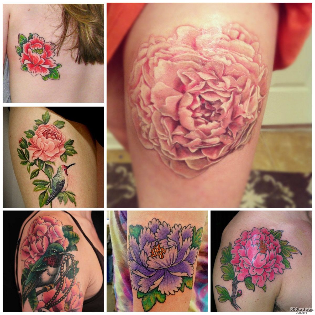 Hottest Peony Flower Tattoo Designs  Tattoo Ideas Gallery ..._48