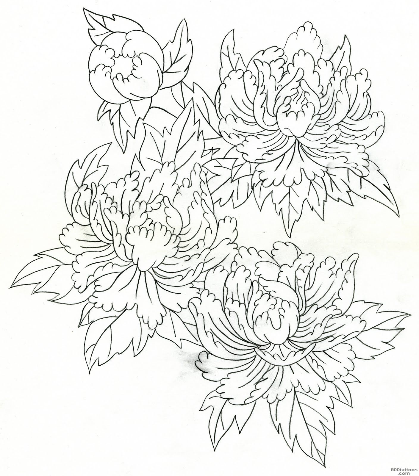 Peony Tattoo Designs  Flower Meanings, Pictures and Photos_47