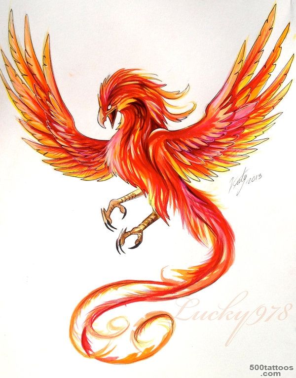 phoenix tattoo ideas on Pinterest  Phoenix Tattoos, Phoenix ..._36