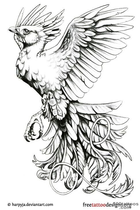 Phoenix Tattoos  75 Cool Designs_7