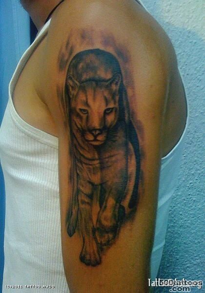 Nice Black And Grey Walking Puma Tattoo On Left Half Sleeve_34