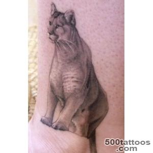 Wonderful Realistic Puma Face Color Tattoo On Right Shoulder_44