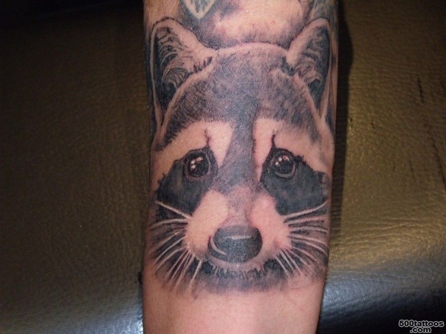 Cute raccoon arm tattoo   TattooMagz   Handpicked World#39s Greatest ..._31
