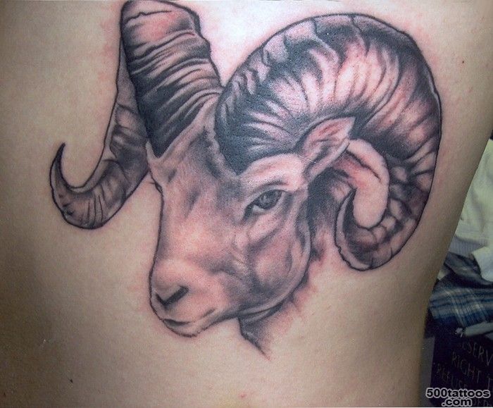 Ram tattoos   Tattooimages.biz_7