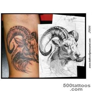 Pin Ram Tattoo Best Eye Catching Tattoos on Pinterest_1