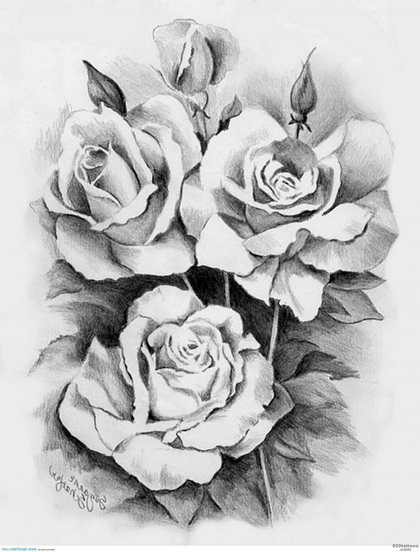 10 White Rose Tattoo Samples And Design Ideas_7