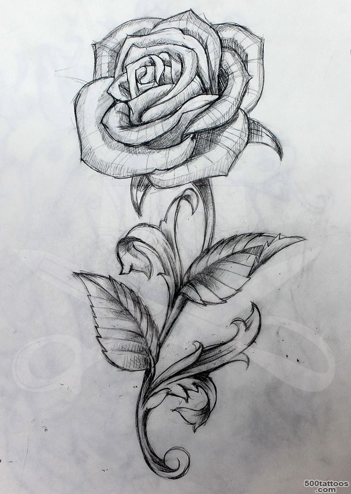 1000+ ideas about Rose Tattoos on Pinterest  Tattoos, Tattoo ..._19